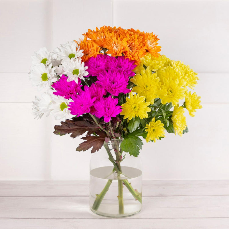 Sainsbury's Fun Flowers dyed chrysanthemums - British product