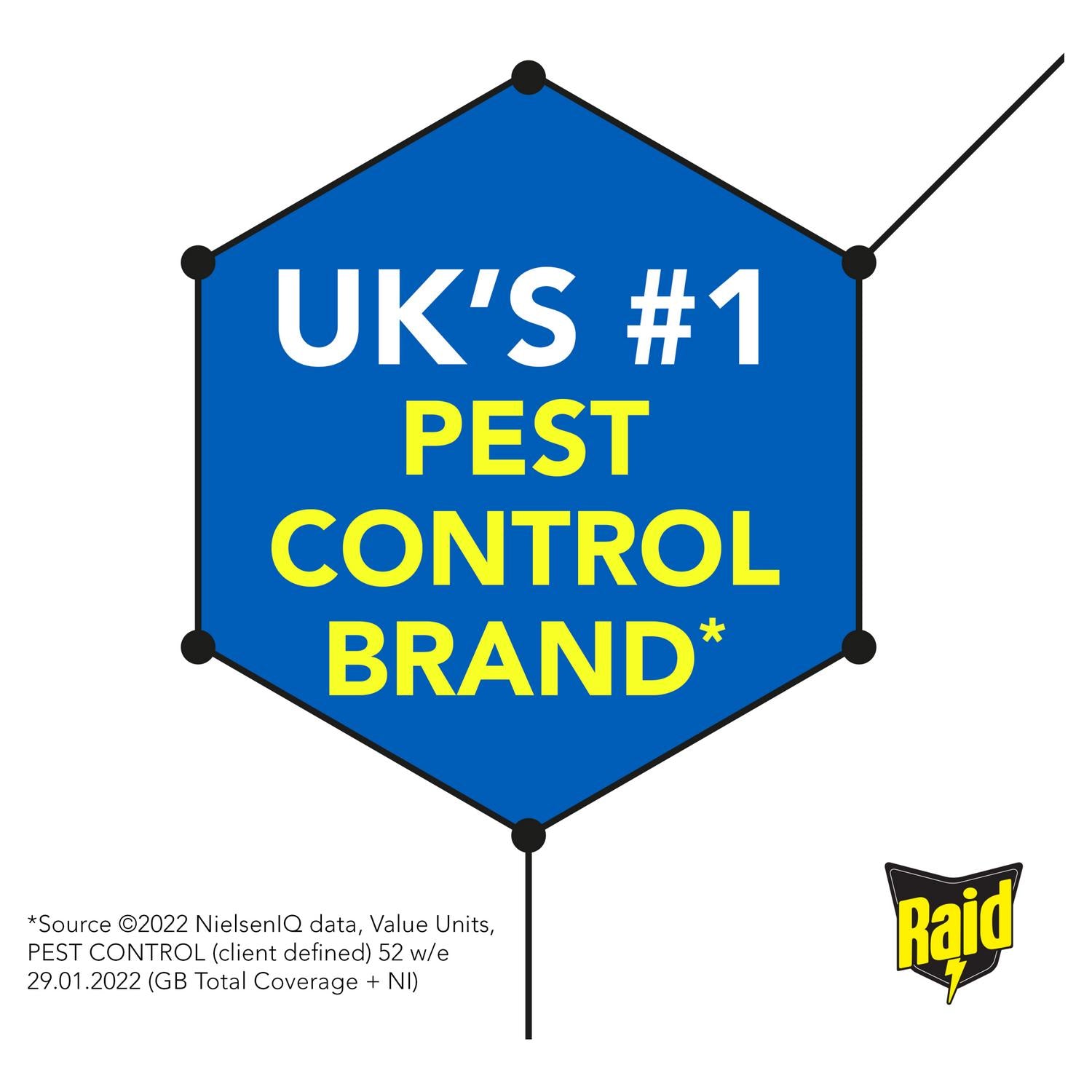 Raid rapid action wasp hornet spray 300ml, imported from the UK