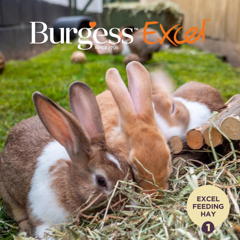 Burgess Excel hay with meadow flowers 500g - British product