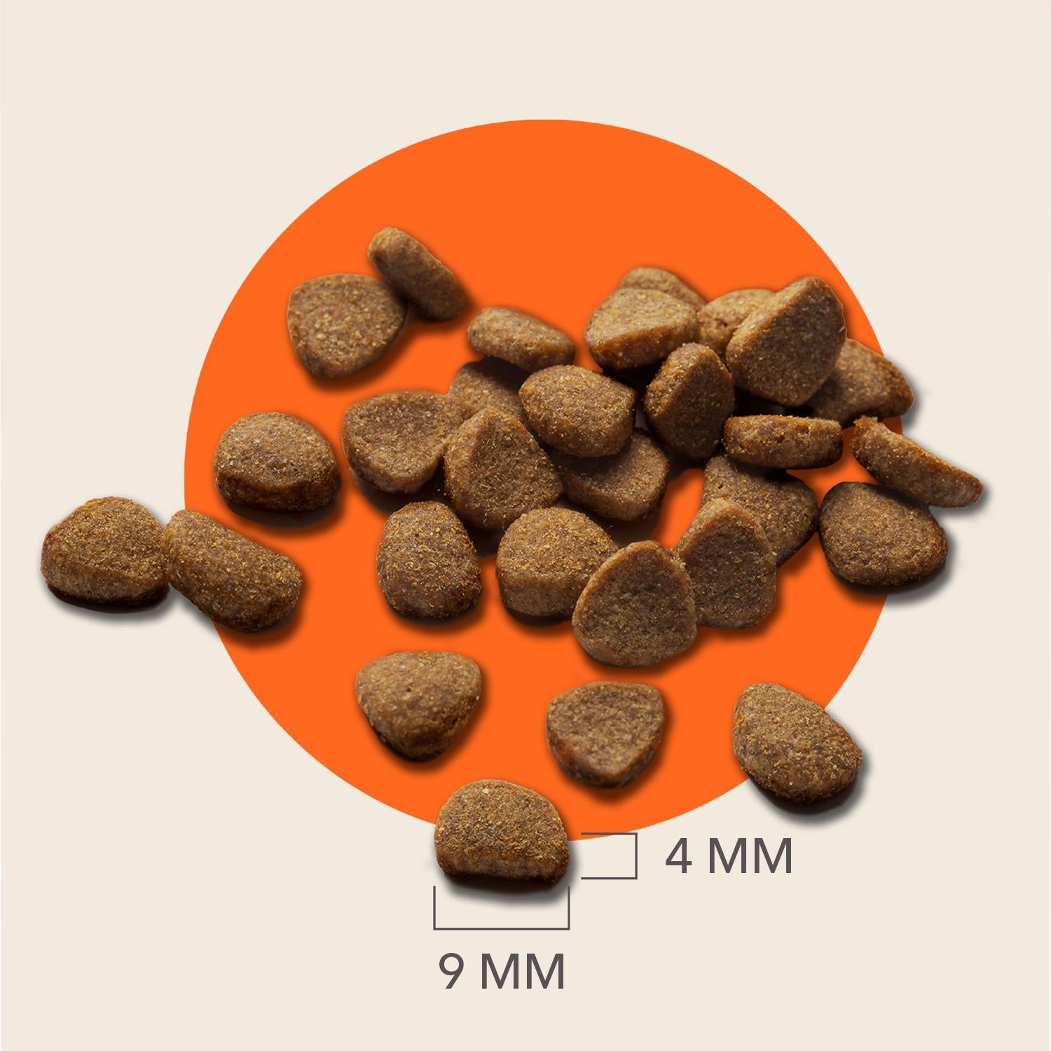 IAMS senior dry cat food 800g, imported from the UK
