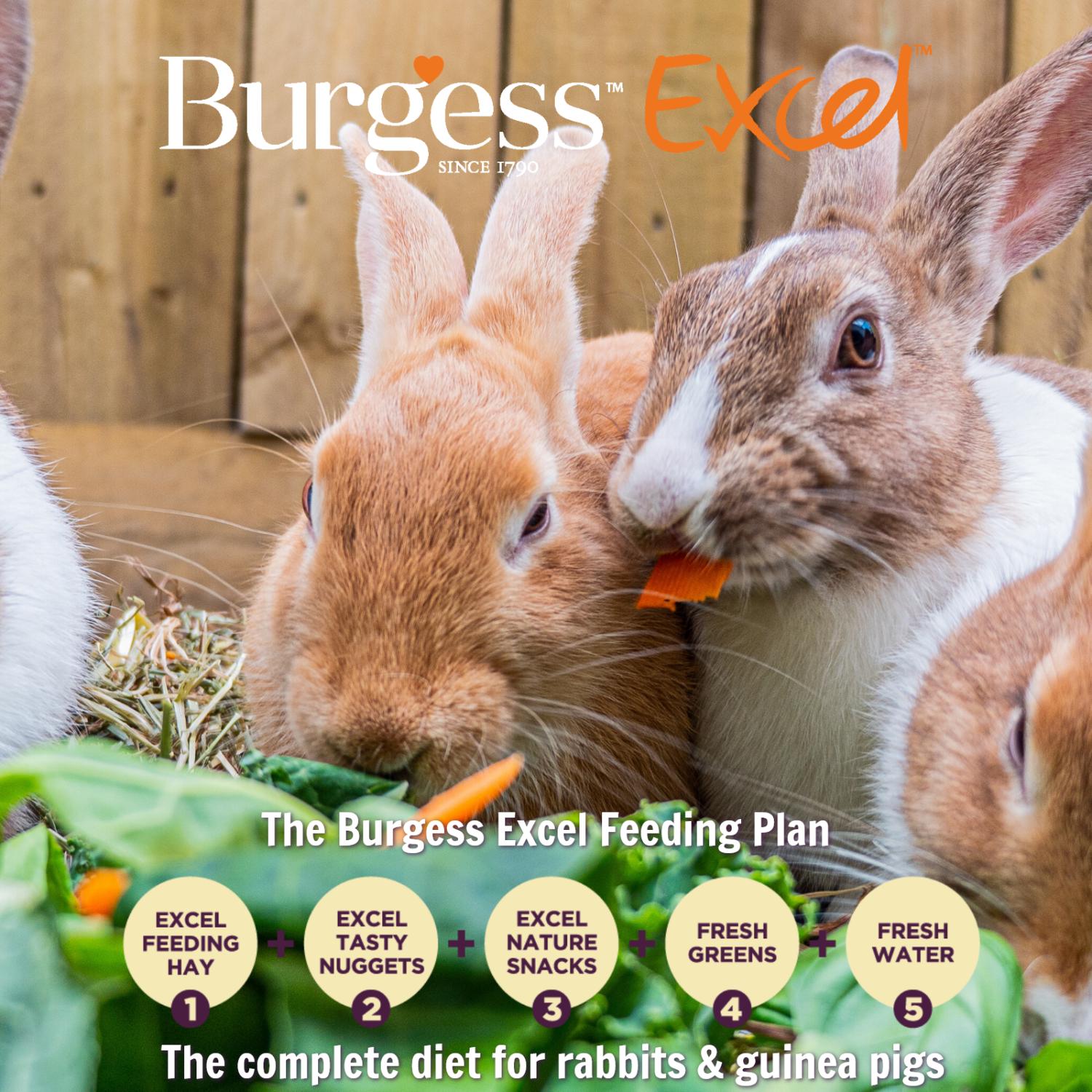 Burgess Excel hay with meadow flowers 500g - British product
