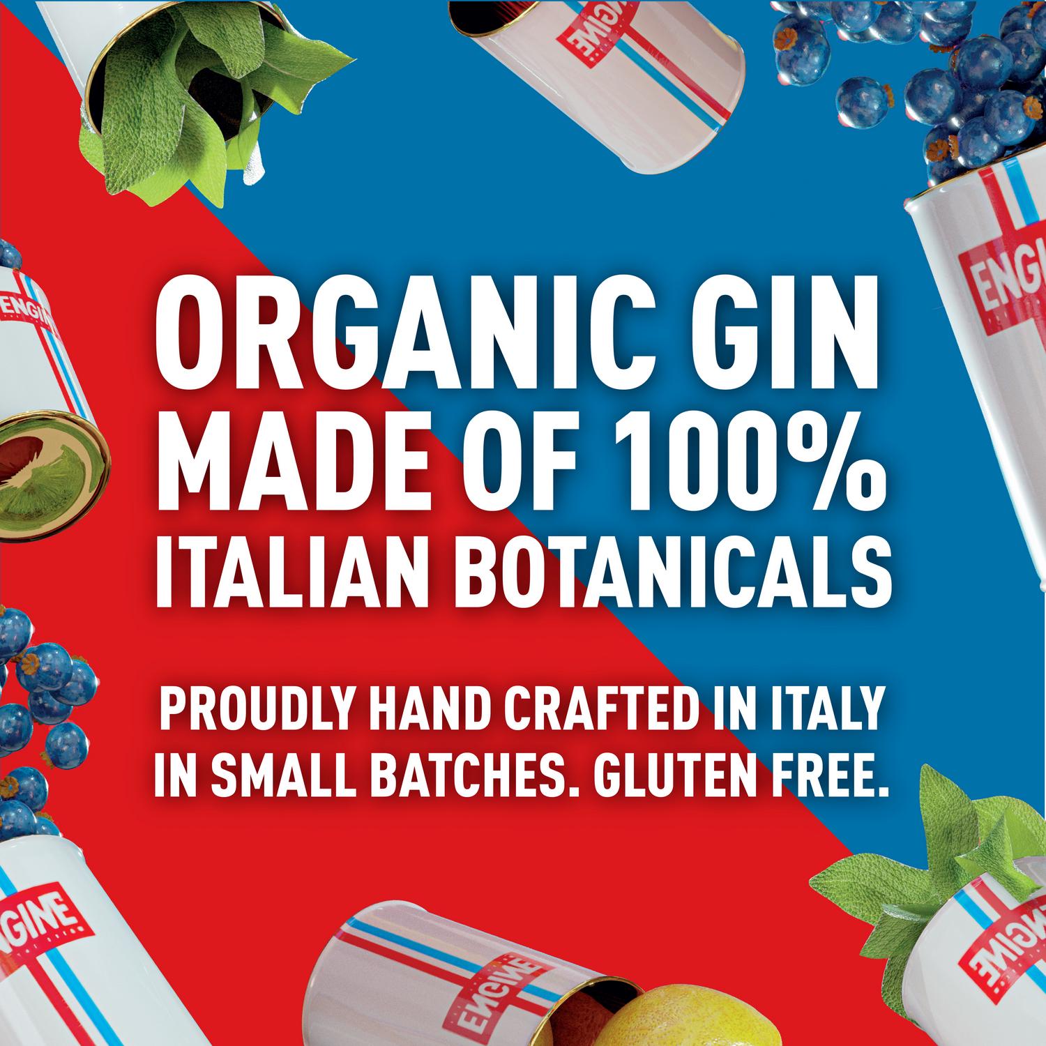 Engine Organic Italian Gin Tonic 237ml - Italian product