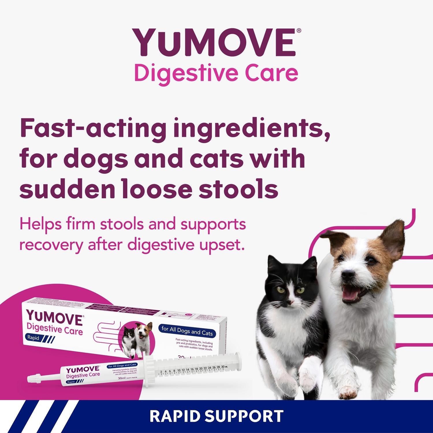 YuMOVE Digestive Care paste for dogs and cats 30ml (British brand)