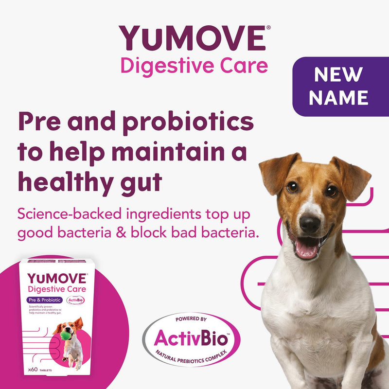 YuMove Digestive Care dog supplement tablets x60 (British brand)