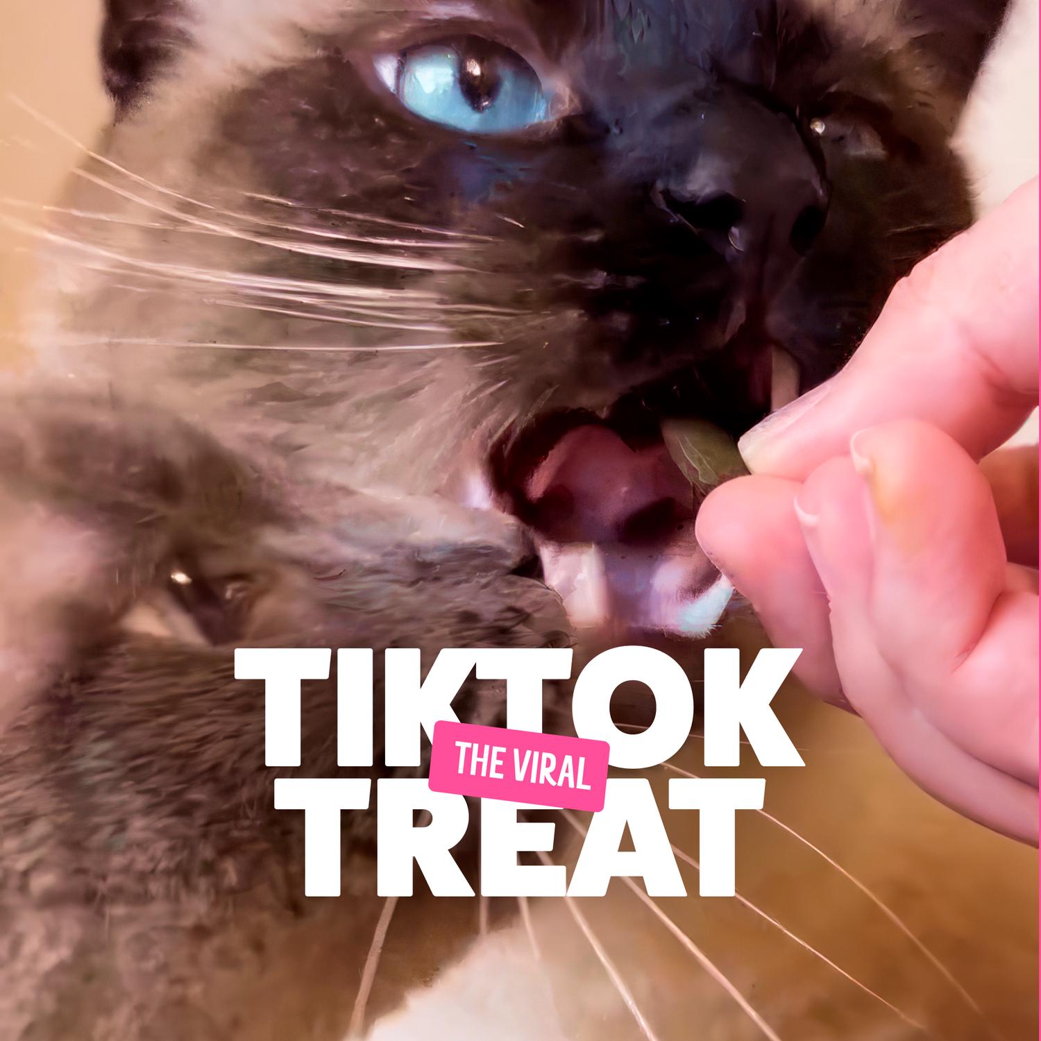 Bonkers Cat Treats Catnip Chick N Cheddar 180g - British product