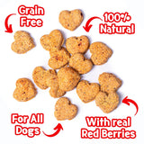 Park Life Love Bix Heart Shaped Dog Biscuits Red Berries 100g
