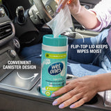 Wet Ones Antibacterial Hand Wipes Fragrance Free Aloe 50 Pack (British brand)