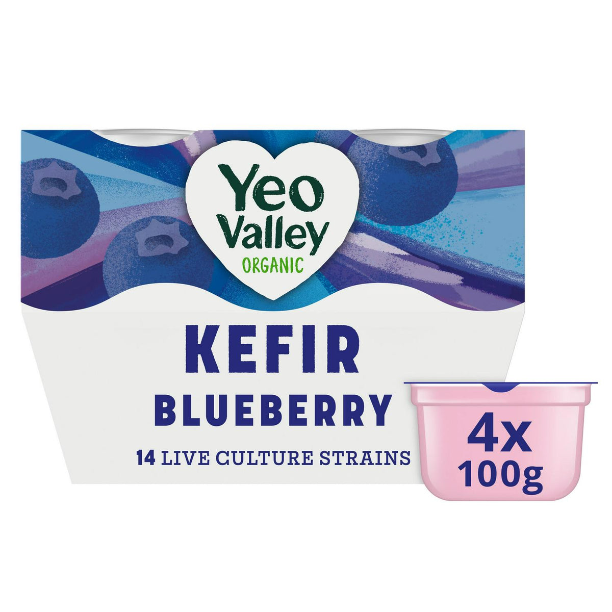 Organic Blueberry Kefir Yogurt with Live Cultures 4 x 100g