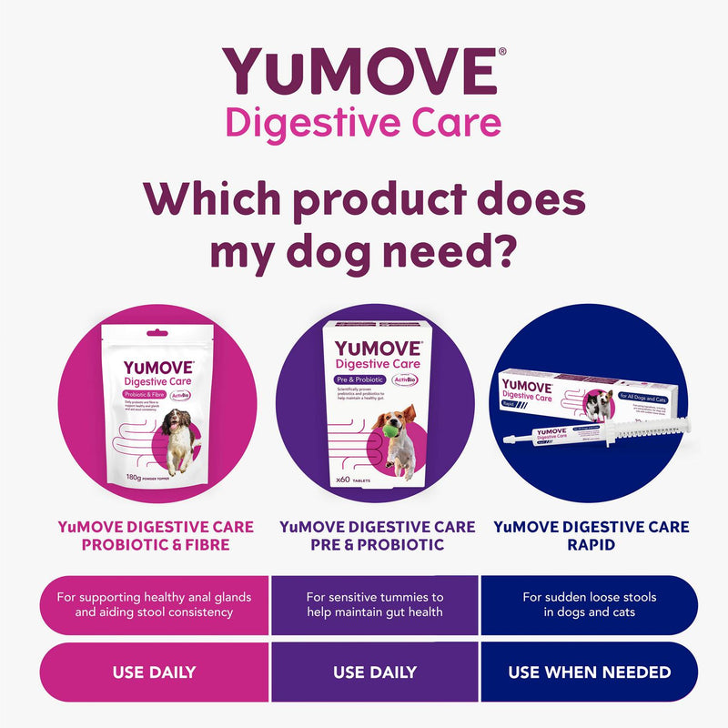 YuMOVE Digestive Care paste for dogs and cats 30ml (British brand)