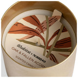 Habitat x Morris & Co. Brass Single Candle - Oak & Fallen Acorn
