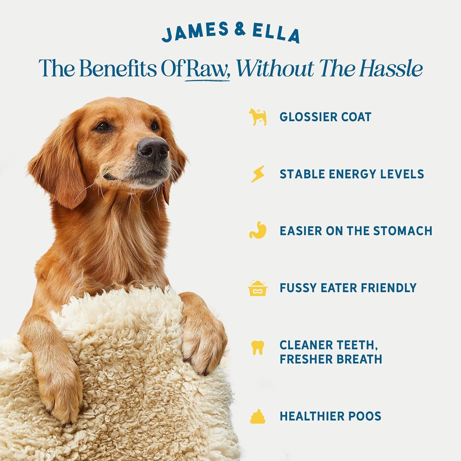 James & Ella freeze-dried free-run chicken dog treats 40g, UK version