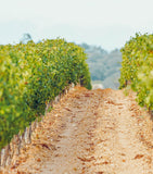 Hanikon Hanikon Côtes de Provence Rosé, 2024 (75cl) - Côtes de Provence, France