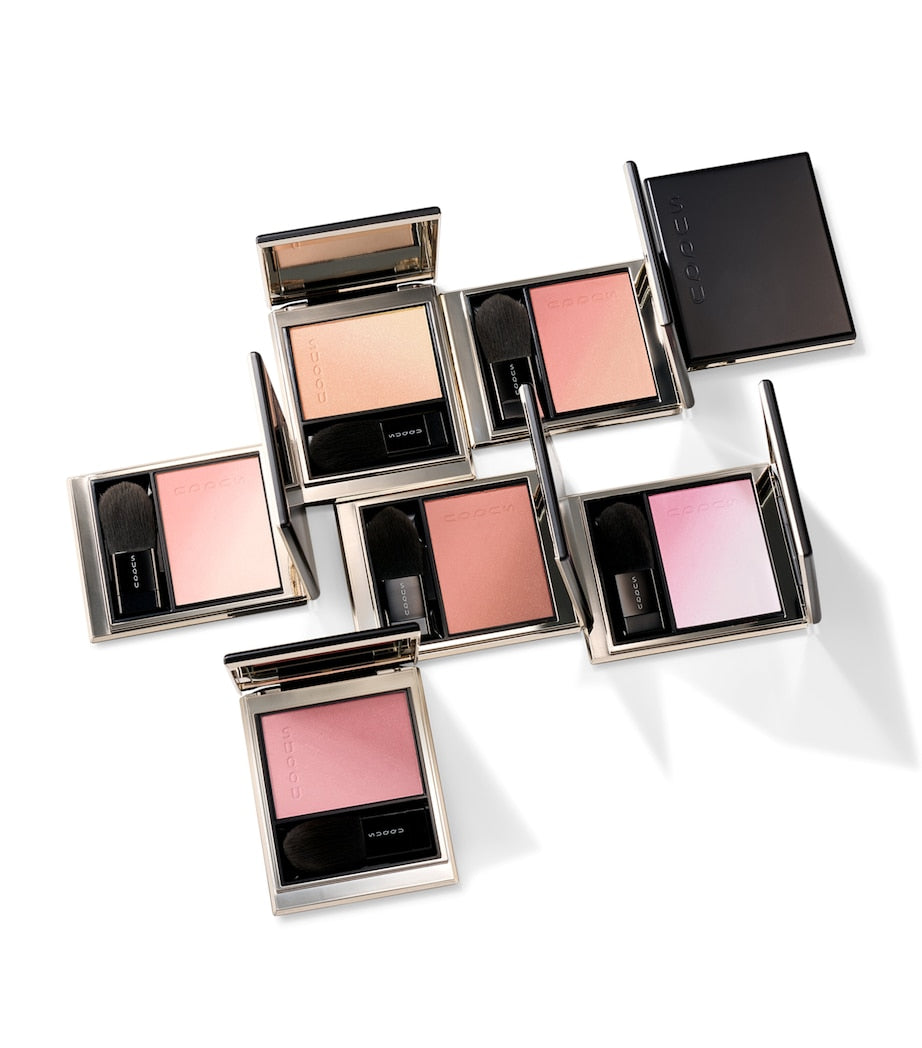 Suqqu Blurring Color Blush pressed powder blush (British brand)