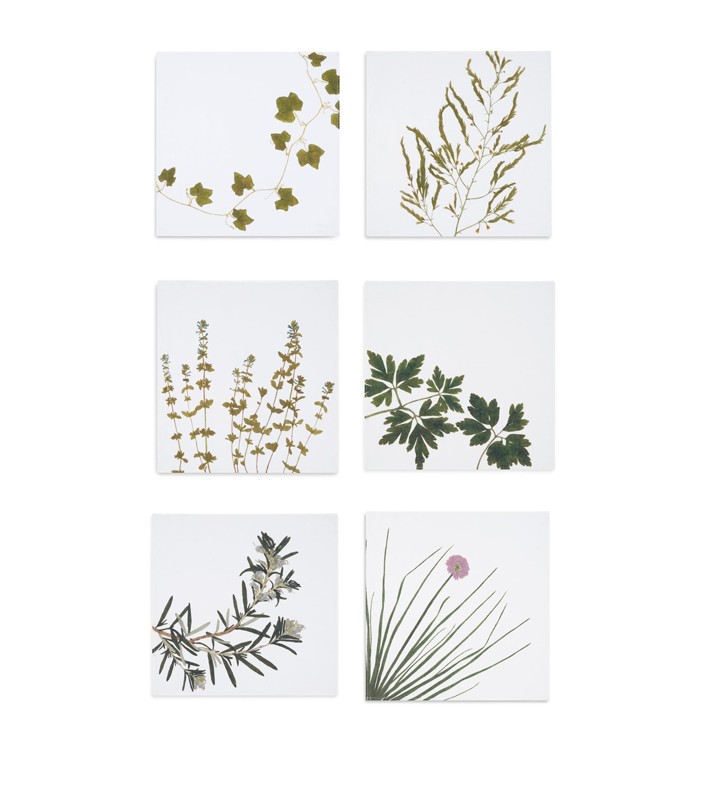 Summerill & Bishop gastronomic herb garden linen napkins 50cm x 50cm (British brand)