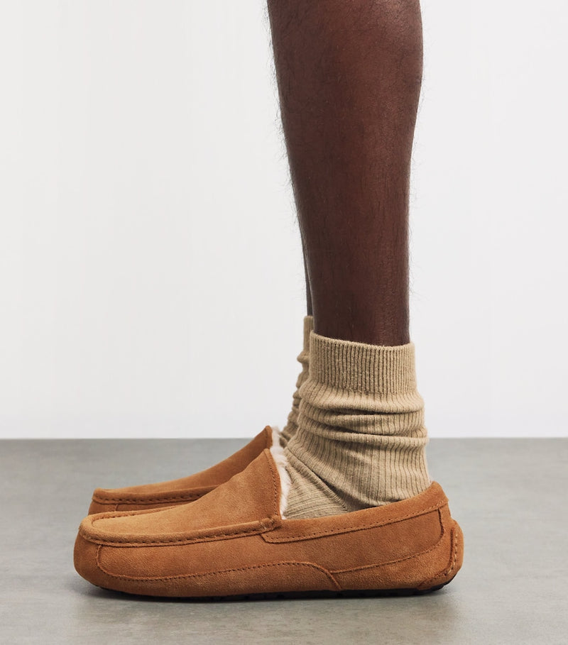 UGG Suede Ascot slippers (British brand)