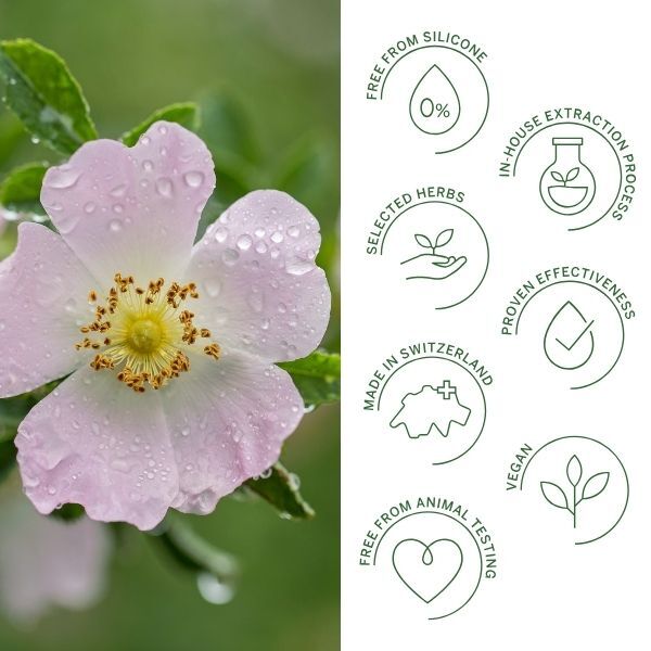 Rausch colour-protecting conditioner wild rose 150ml, imported from the UK