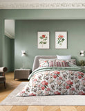 Bedeck of Belfast Elswyth square pillowcases 2 pack, imported from the UK