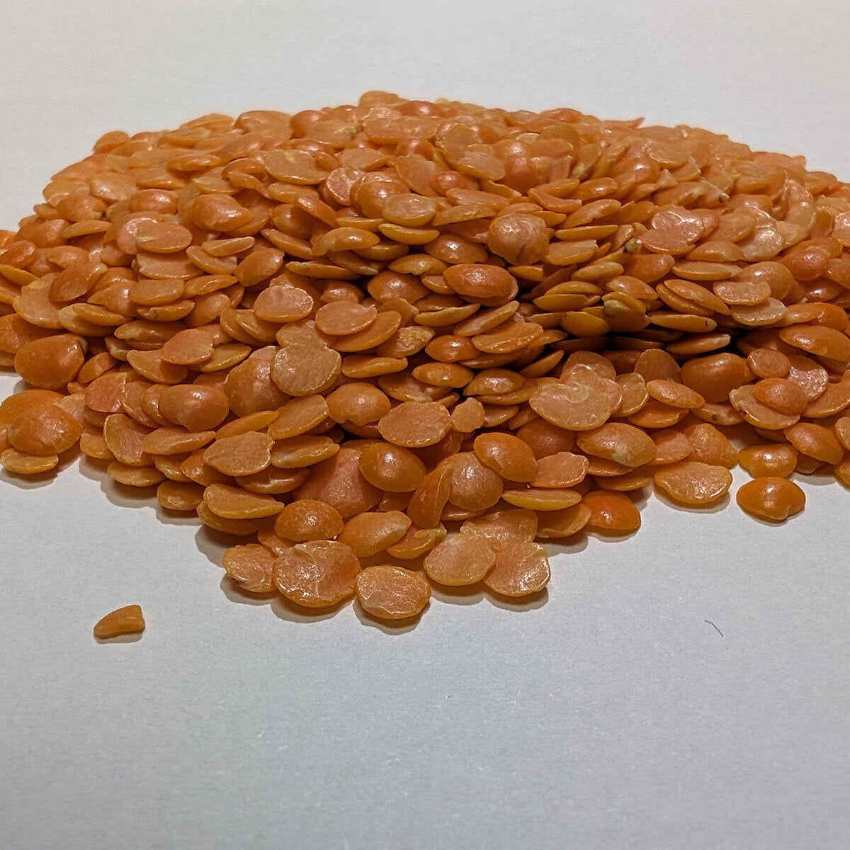 Natco Red Lentils 5kg, imported from the UK