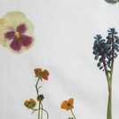 Argos Home cotton dried flowers white duvet cover set double - British product