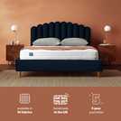 Silentnight Oriana Superking Velvet Bed Frame Silver (British brand)