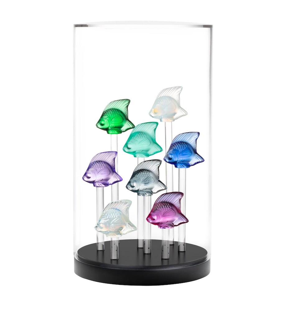 Lalique crystal fish display base and lid with stands 32x18x18cm, UK version