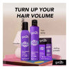 got2b Volumaniac Mousse 250ml hair styling UK version