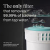 Tommee Tippee Closer to Nature Prep Filters (British brand)