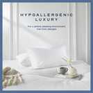 Snuggledown Luxurious Hotel Medium Pillow - 2 Pack