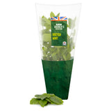 ASDA Cool & Refreshing Growing Garden Mint plant - British product