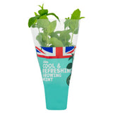 ASDA Cool & Refreshing Growing Garden Mint plant - British product