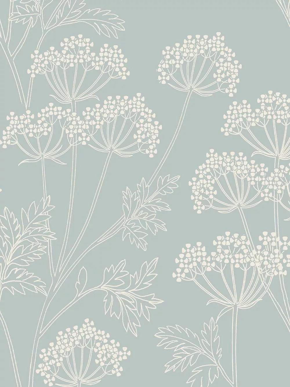 John Lewis cow parsley wallpaper with line drawn design, UK version