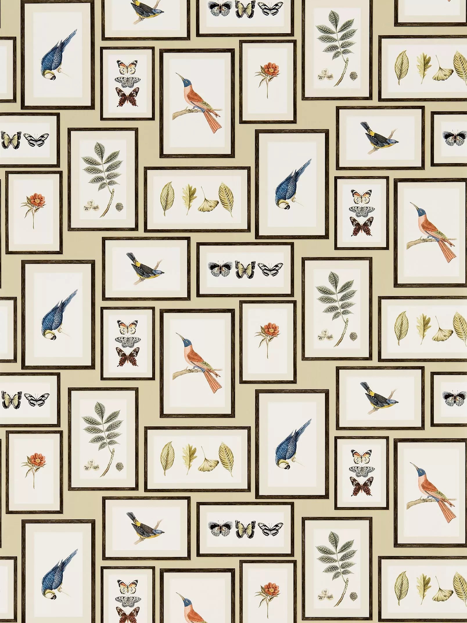 Sanderson Picture Gallery wallpaper (British brand)
