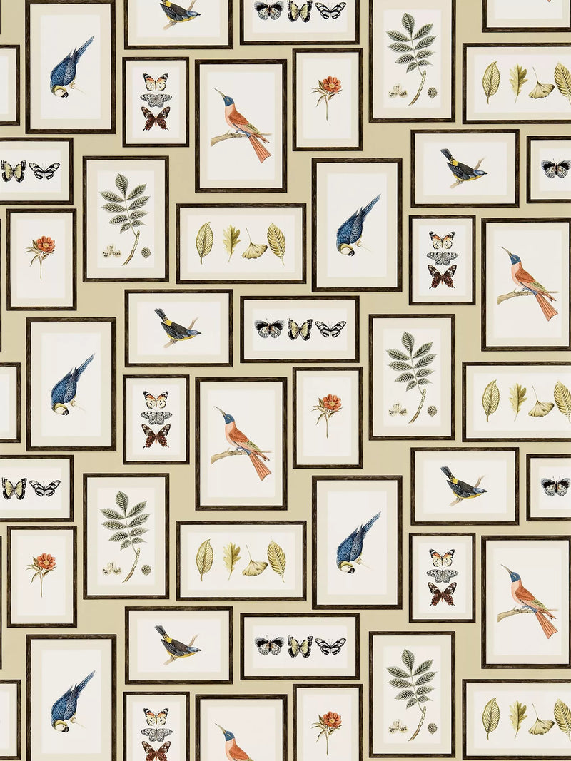Sanderson Picture Gallery wallpaper (British brand)