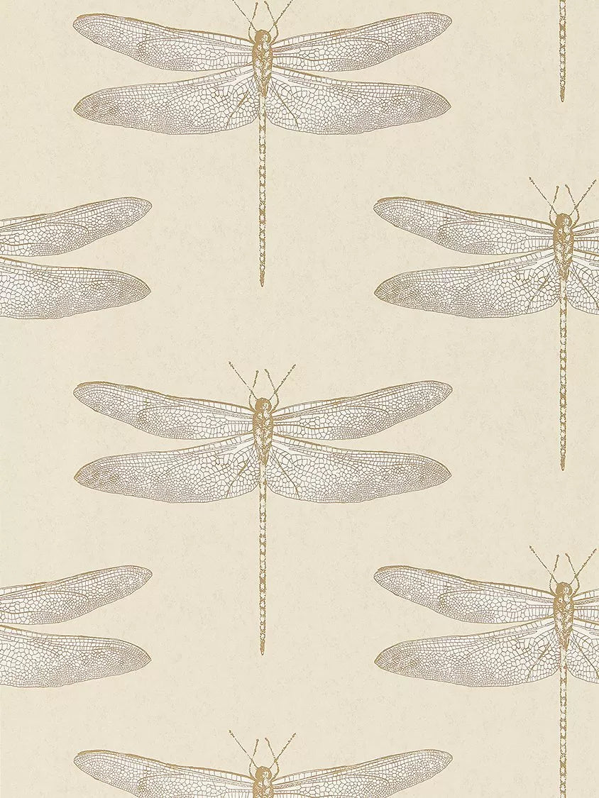 Harlequin Demoiselle wallpaper with dragonfly design in Shell, UK version