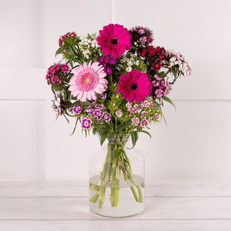 Sweet Williams Bouquet with 7-Day Guarantee