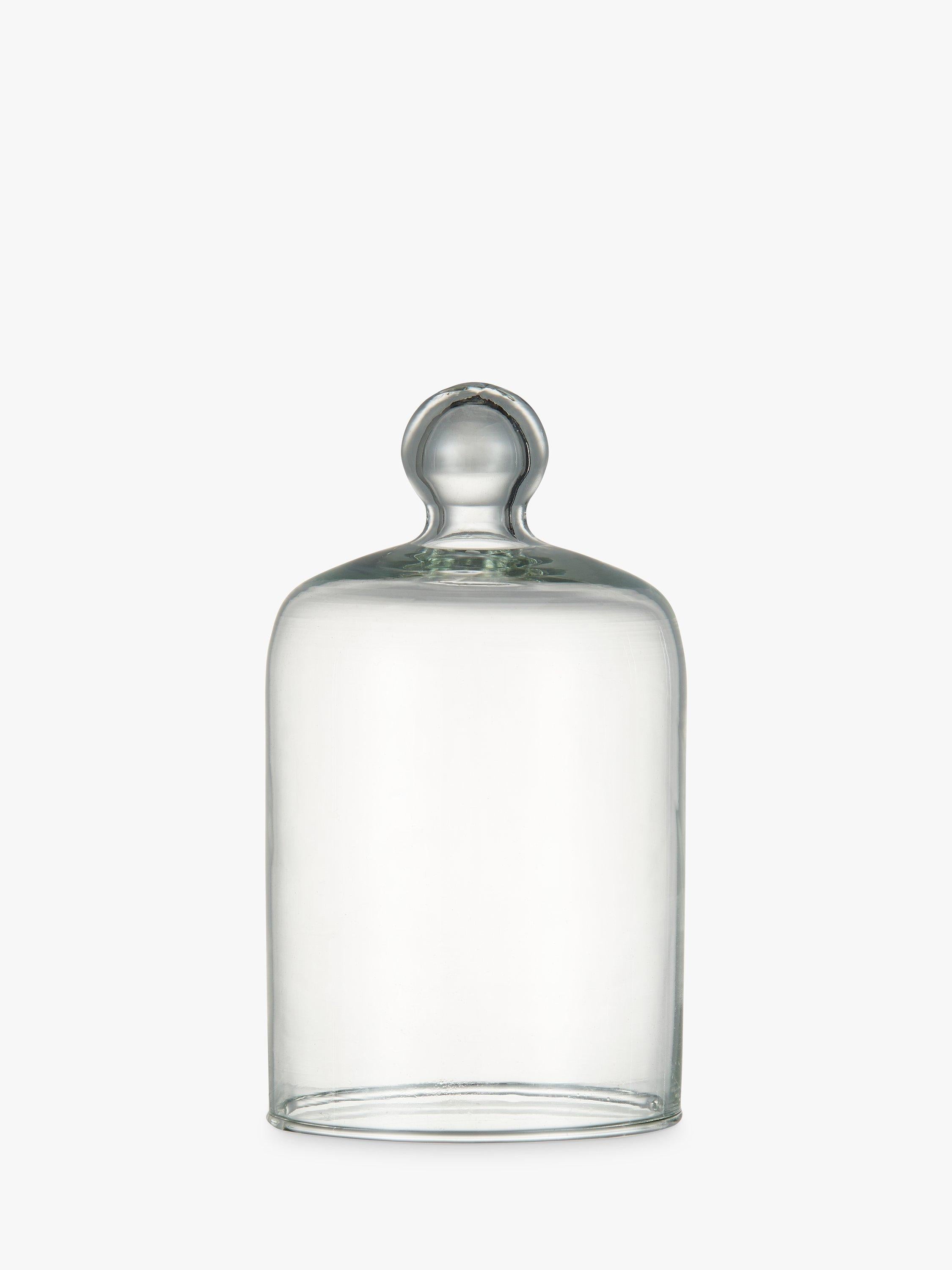 Small Glass Bell Cloche Jar