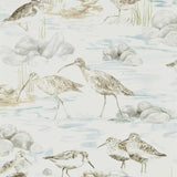 Sanderson Estuary Birds Wallpaper