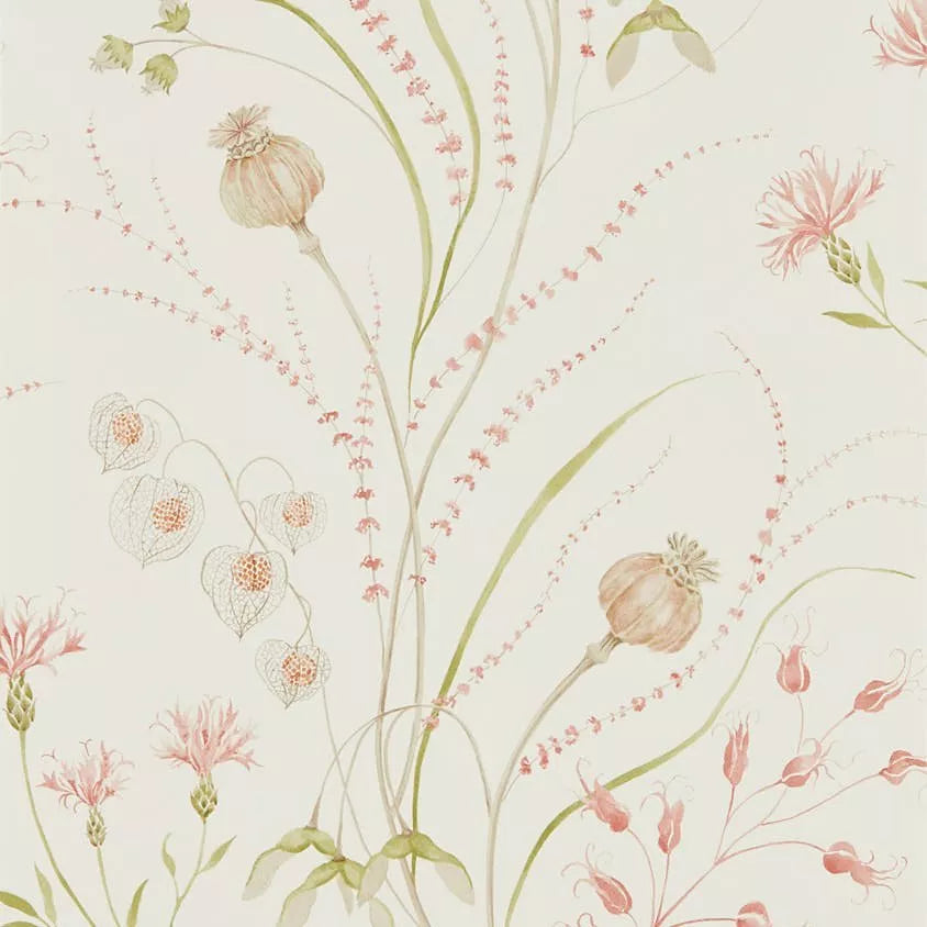 Sanderson Summer Harvest Wallpaper (British brand)
