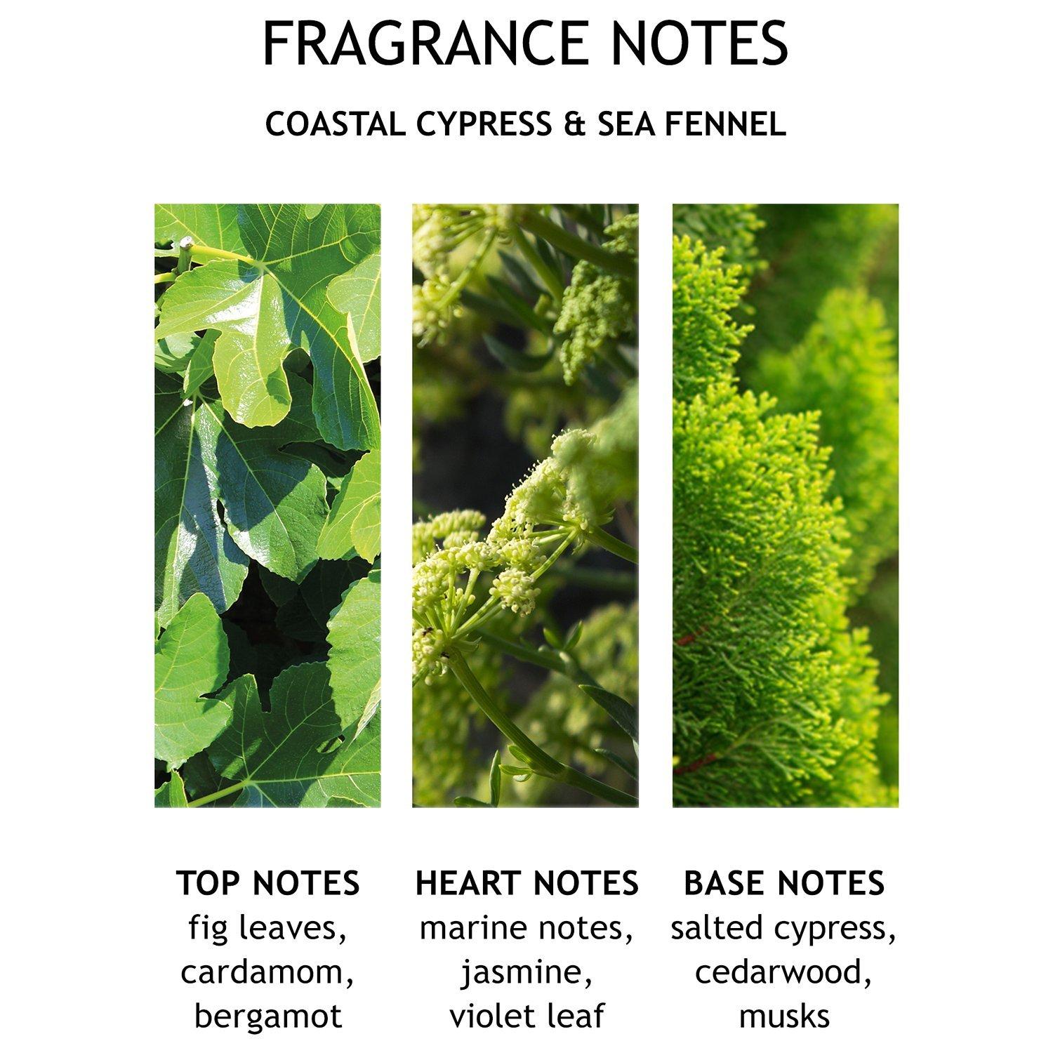 Molton Brown coastal cypress and sea fennel bath and shower gel 300ml, imported from the UK