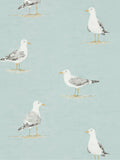 Sanderson Shore Birds Wallpaper - Sky 216564