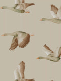 Sanderson Elysian Geese Wallpaper - McGrocer