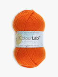 West Yorkshire Spinners ColourLab DK yarn 100g (British brand)