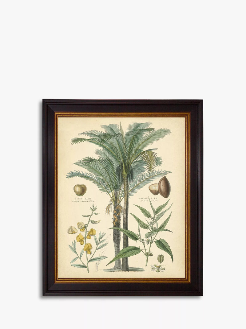 Brookpace Fruitful Palm I framed print 51 x 41cm - British product