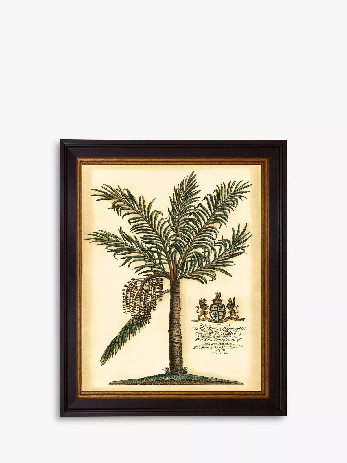 Brookpace Lascelles Fruitful Palm III framed print green 51x41cm - British product