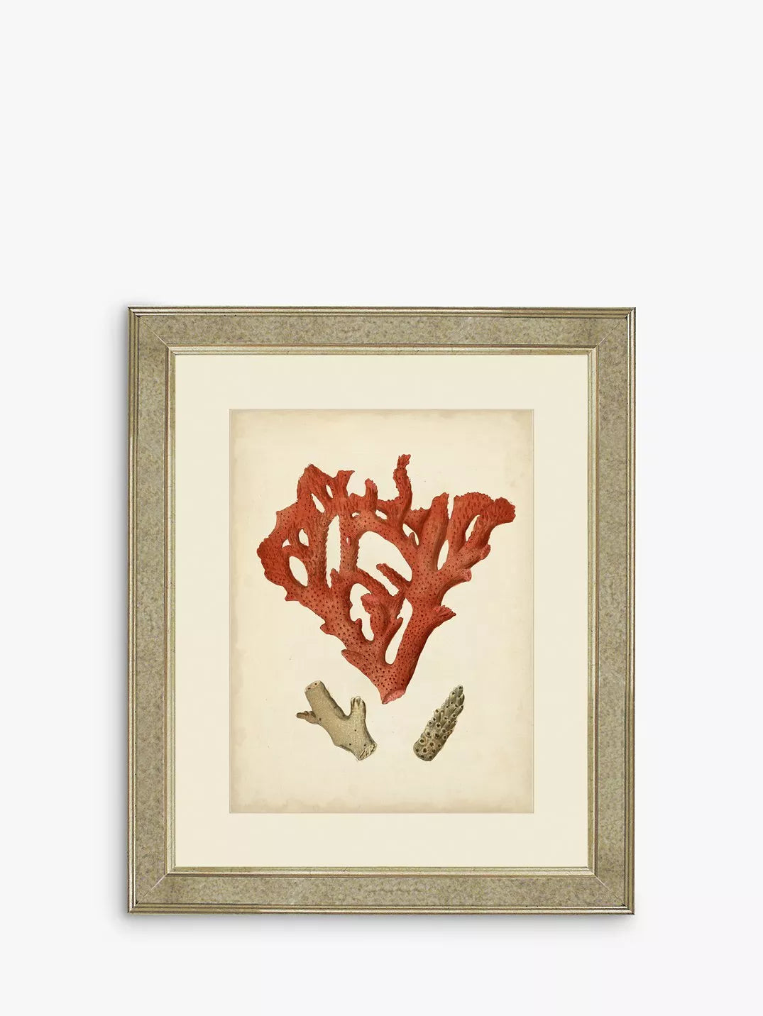 Brookpace Red Coral II framed print 60 x 50cm - British product