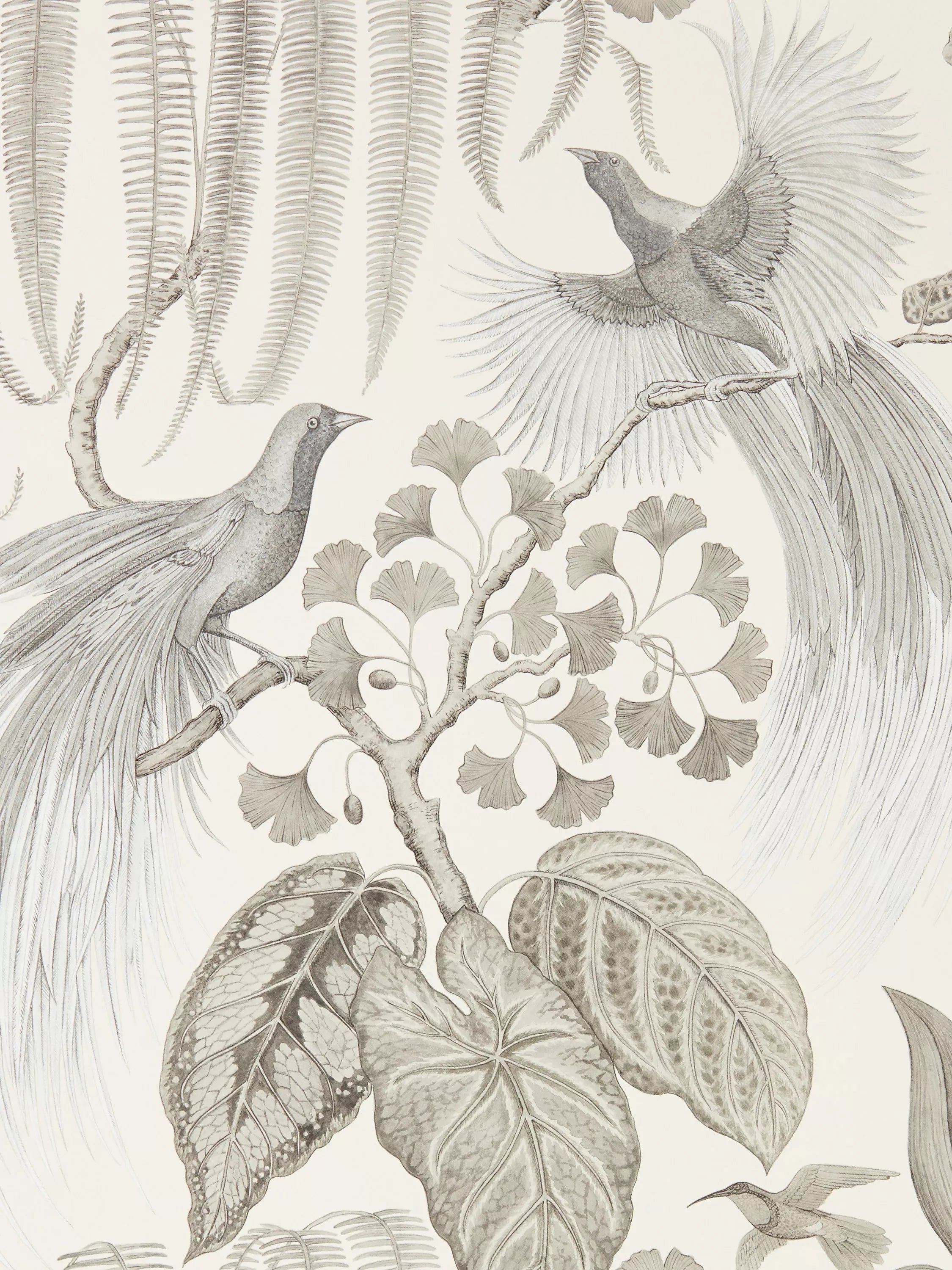 Sanderson Bird of Paradise wallpaper (British brand)