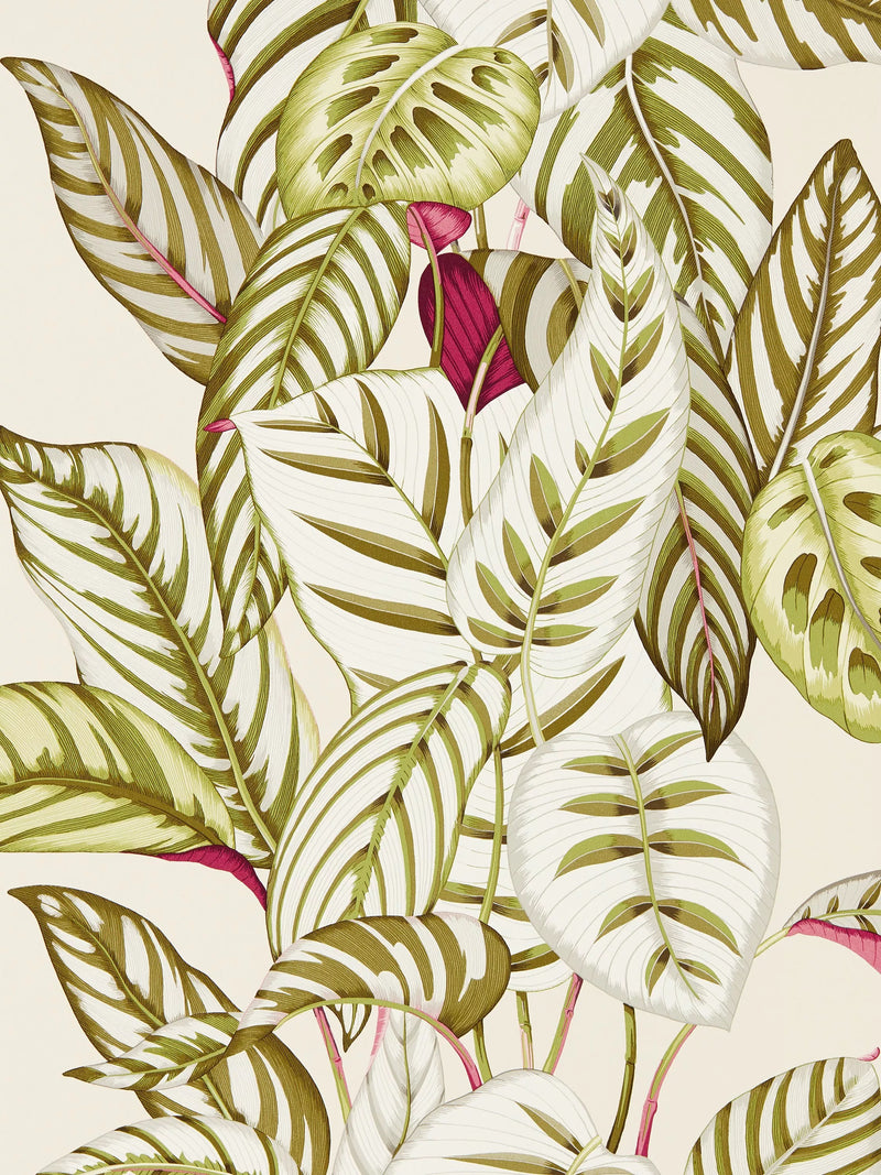 Sanderson Calathea wallpaper (British brand)