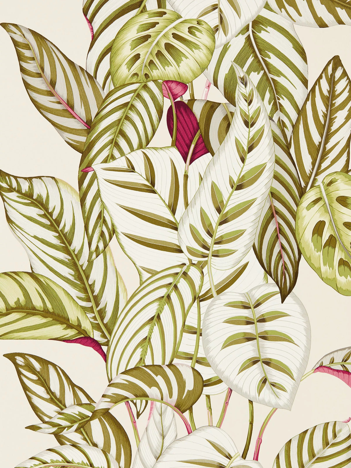 Sanderson Calathea wallpaper (British brand)