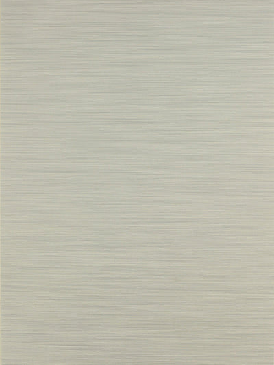 Contemporary Grasscloth Wallpaper in Silver