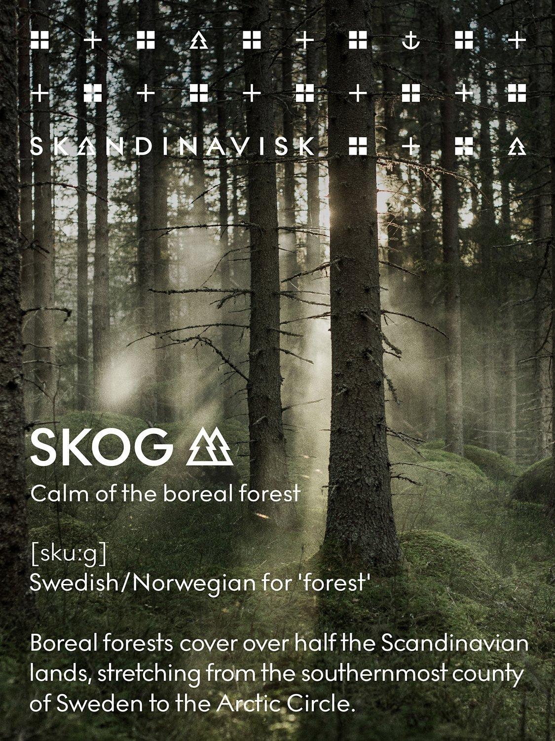 SKANDINAVISK Skog Scented Candle 200g (British brand)